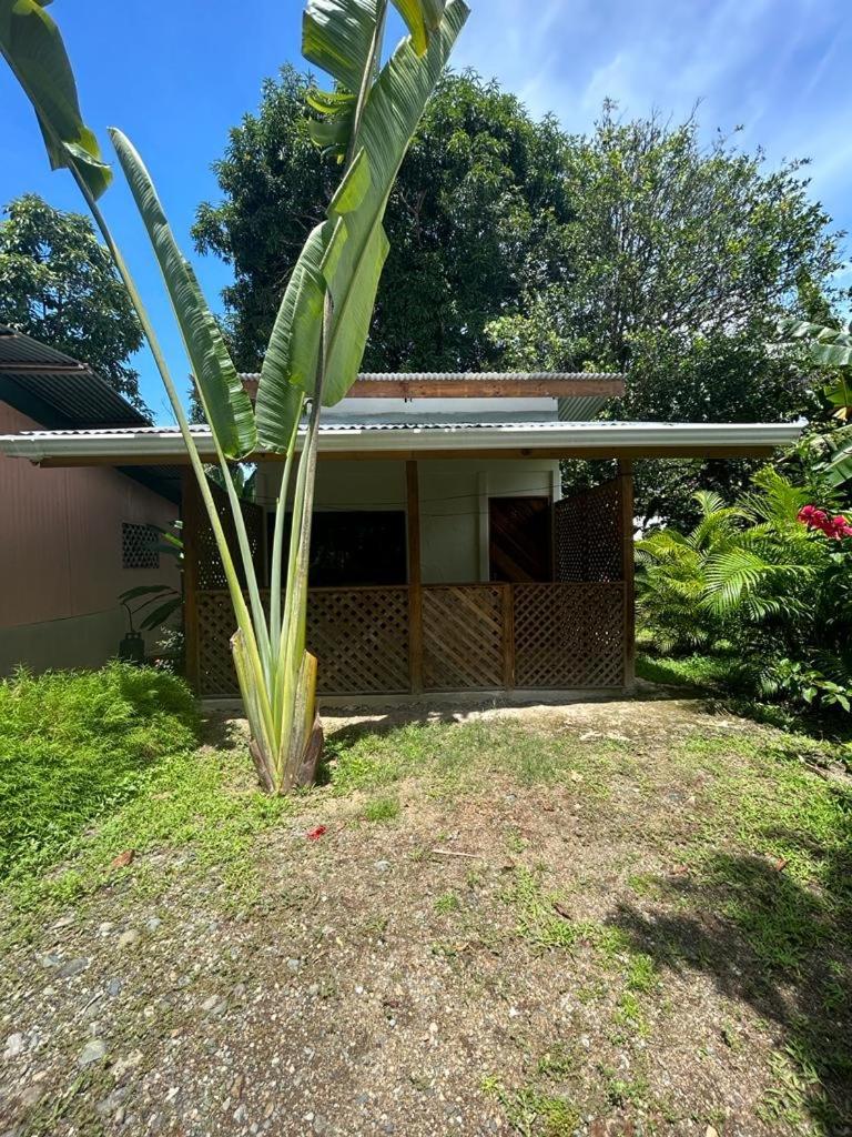 Ballena Oasis Homes Uvita Kültér fotó